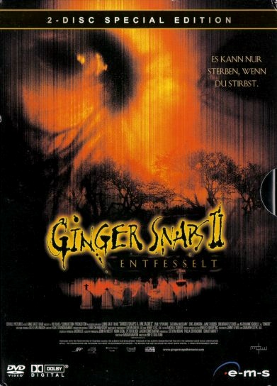 DVD Cover